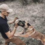 Protecting Your Rights After a Dog Bite Injury: Mistakes to Avoid