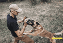 Protecting Your Rights After a Dog Bite Injury: Mistakes to Avoid Protecting Your Rights After a Dog Bite Injury: Mistakes to Avoid