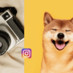 Elevate Your Dog Photography on Instagram: 8 Tips for Pawsitively Perfect Shots Elevate Your Dog Photography on Instagram: 8 Tips for Pawsitively Perfect Shots