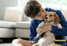 Understanding Dog Behavior: Essential Training for Healthcare Providers Understanding Dog Behavior: Essential Training for Healthcare Providers