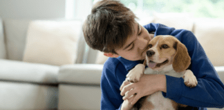 Understanding Dog Behavior: Essential Training for Healthcare Providers Understanding Dog Behavior: Essential Training for Healthcare Providers