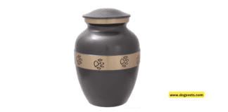 Your Compassionate Guide to Selecting an Urn That Withstands the Storms Your Compassionate Guide to Selecting an Urn That Withstands the Storms