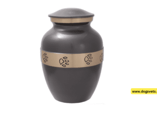 Your Compassionate Guide to Selecting an Urn That Withstands the Storms Your Compassionate Guide to Selecting an Urn That Withstands the Storms
