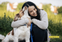 The Ultimate Guide: Average Cost of Owning a Dog Per Month The Ultimate Guide: Average Cost of Owning a Dog Per Month