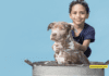 How Often Should You Bathe Your Dog? + 8 Simple Tips How Often Should You Bathe Your Dog?