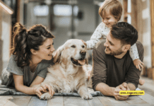 The Best Dog Breeds for Families with Children The Best Dog Breeds for Families with Children
