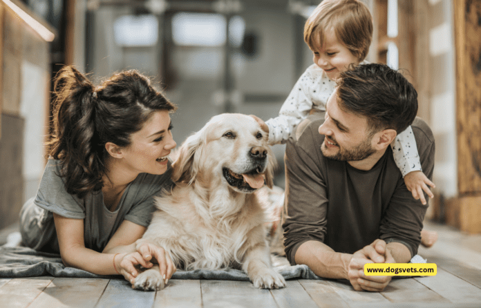 Les millors races de gossos per a famílies amb nens