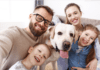 8 Heartwarming Ways to Transform Your Home in Memory of a Cherished Pet 8 Heartwarming Ways to Transform Your Home in Memory of a Cherished Pet