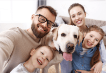 8 Heartwarming Ways to Transform Your Home in Memory of a Cherished Pet 8 Heartwarming Ways to Transform Your Home in Memory of a Cherished Pet