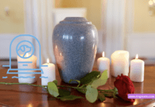 Thinking of Honoring Your Furry Friend in 2023? Here’s Why Pet Cremation is the Compassionate Choice! Thinking of Honoring Your Furry Friend in 2023? Here’s Why Pet Cremation is the Compassionate Choice!