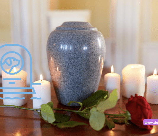 Thinking of Honoring Your Furry Friend in 2023? Here’s Why Pet Cremation is the Compassionate Choice! Thinking of Honoring Your Furry Friend in 2023? Here’s Why Pet Cremation is the Compassionate Choice!