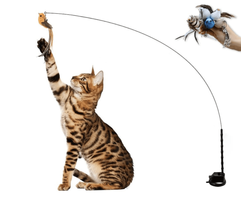 Leo's Paw interaktīva putnu simulācijas kaķu rotaļlieta