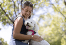 Can Dogs See Ghosts? or Can Dogs Sense Something Bad Happening? Title: Can Dogs See Ghosts? or Can Dogs Sense Something Bad Happening?