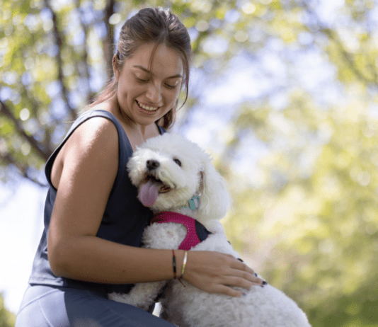 Can Dogs See Ghosts? or Can Dogs Sense Something Bad Happening? Title: Can Dogs See Ghosts? or Can Dogs Sense Something Bad Happening?