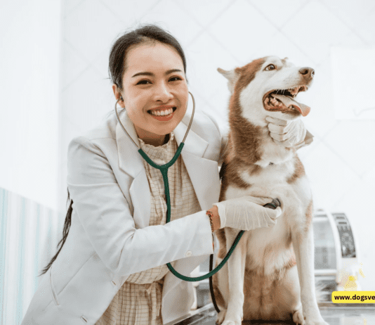 Which Dog is Best for Doctors? + Top 5 Breeds Which Dog is Best for Doctors? 5 Tips to Know