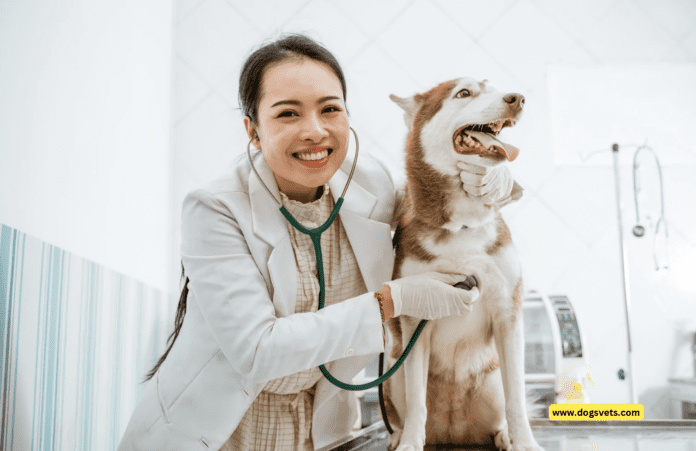 Кое куче е най-добро за лекари? 5 съвета, които трябва да знаете