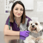 Tips for Safeguarding Your Dog’s Health and Your Finances