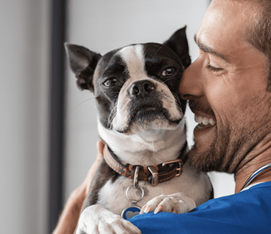 Having a dog in medical school and residency + Benefits & Tips Having a dog in medical school and residency + Benefits & Tips