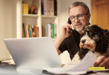 How to Work Remotely with Your Dog – 5 Tips to Know How to Work Remotely with Your Dog - 5 Tips to Know
