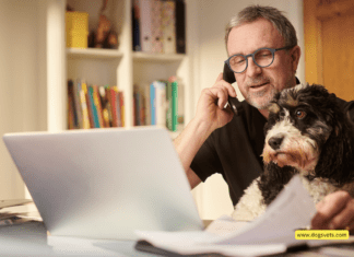 How to Work Remotely with Your Dog – 5 Tips to Know How to Work Remotely with Your Dog - 5 Tips to Know