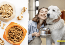 Top 10 Best Dry Dog Food + 4 Tips to Consider Top 10 Best Dry Dog Food + 4 Tips to Consider