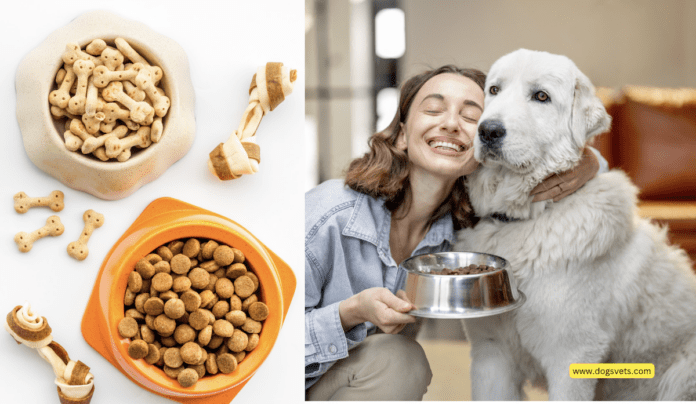 Top 10 Best Dry Dog Food + 4 Tips to Consider
