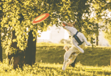 Sports Accessories For Dogs – The Ultimate Guide + 5 Tips To Know Sports Accessories For Dogs - The Ultimate Guide + 5 Tips To Know