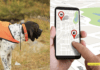 Why is a GPS Tracker Important for Dogs? 5 Tips to Know