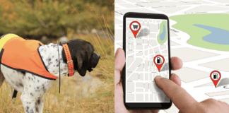 Why is a GPS Tracker Important for Dogs? 5 Tips to Know Why is a GPS Tracker Important for Dogs? 5 Tips to Know