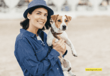What Does Hosting Dogs Mean? A Comprehensive Guide for Dog Lovers What Does Hosting Dogs Mean? A Comprehensive Guide for Dog Lovers