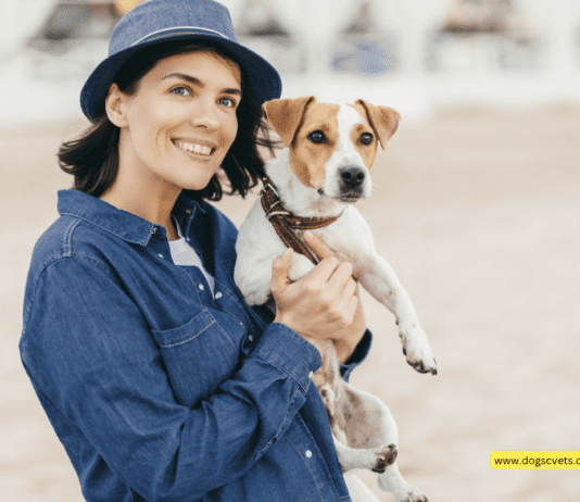 What Does Hosting Dogs Mean? A Comprehensive Guide for Dog Lovers What Does Hosting Dogs Mean? A Comprehensive Guide for Dog Lovers