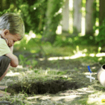 Can Music Ease the Pain of Pet Loss? 7 Ways Melodies Provide Healing Comfort