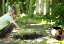 Can Music Ease the Pain of Pet Loss? 7 Ways Melodies Provide Healing Comfort Can Music Ease the Pain of Pet Loss? 7 Ways Melodies Provide Healing Comfort