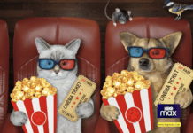 Top 21 Best Movies on HBO Max for Animal Lovers 5 Best Movies on HBO Max for Animal Lovers