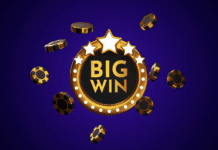 Lucky Paws: Can Your Dog Predict Online Slot Wins? Lucky Paws: Can Your Dog Predict Online Slot Wins?
