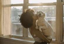 4 Weird Behaviours That Could Mean Your Dog Senses a Spirit 4 Weird Behaviours That Could Mean Your Dog Senses a Spirit