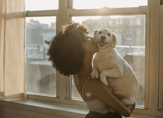 4 Weird Behaviours That Could Mean Your Dog Senses a Spirit