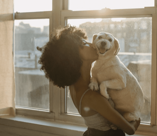 4 Weird Behaviours That Could Mean Your Dog Senses a Spirit 4 Weird Behaviours That Could Mean Your Dog Senses a Spirit