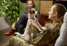 PTSD Dogs: Everything You Need to Know PTSD Dogs: Everything You Need to Know