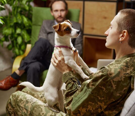 PTSD Dogs: Everything You Need to Know PTSD Dogs: Everything You Need to Know