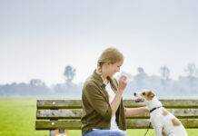 Expert Tips On How To Train Your New Puppy Meaty Morsels Treats for Dogs - Tips On How To Train Your New Puppy