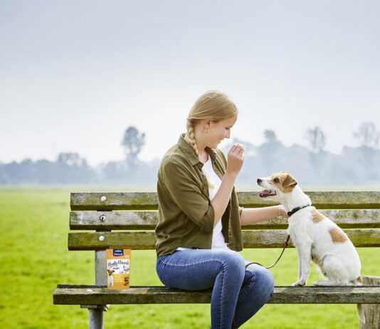 Expert Tips On How To Train Your New Puppy Meaty Morsels Treats for Dogs - Tips On How To Train Your New Puppy