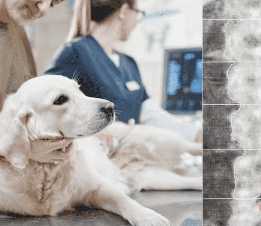 Chest Bone Deformities in Dogs: Vet Answers Your Questions Chest Bone Deformities in Dogs: Vet Answers Your Questions