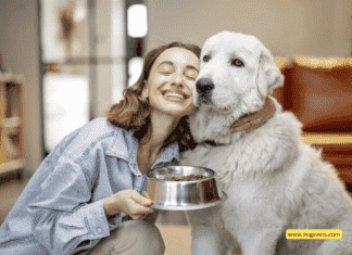 Як зрозуміти, чи підходить собаці сухий корм?