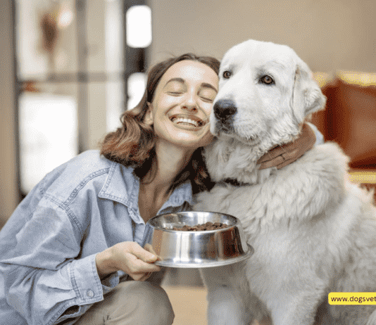 Як зрозуміти, чи підходить собаці сухий корм? Як зрозуміти, чи підходить собаці сухий корм?