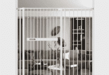 Tall Cat Gate: The Ultimate Solution to Keep Your Feline Friend Safe and Contained Tall Cat Gate: The Ultimate Solution to Keep Your Feline Friend Safe and Contained