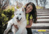 FaunaMarket: Your Digital Gateway to Pet Paradise