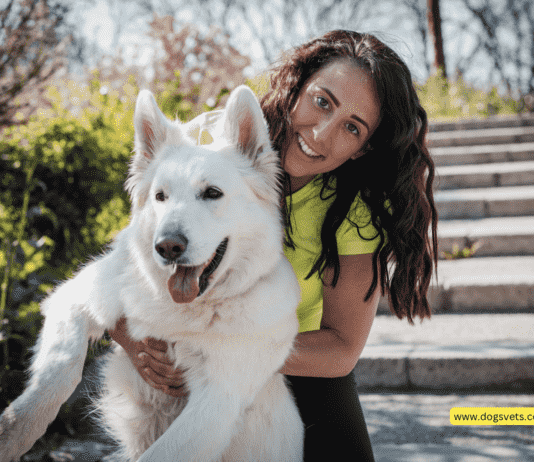 FaunaMarket: Your Digital Gateway to Pet Paradise FaunaMarket: Your Digital Gateway to Pet Paradise