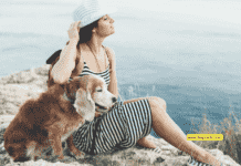 Travel Buddies: Essential Tips for Adventuring with Your Dog and Maine Coon Travel Buddies: Essential Tips for Adventuring with Your Dog and Maine Coon