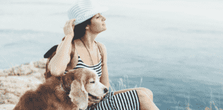 Travel Buddies: Essential Tips for Adventuring with Your Dog and Maine Coon Travel Buddies: Essential Tips for Adventuring with Your Dog and Maine Coon